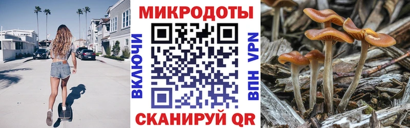Псилоцибиновые грибы Psilocybe  Новоуральск 